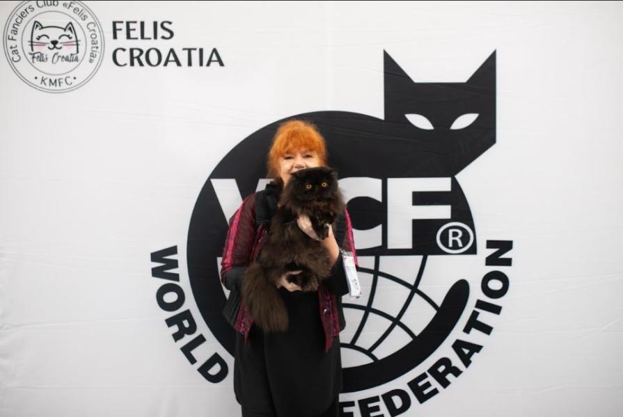 Felis Croatia, Gordana Radić, dizajnerica