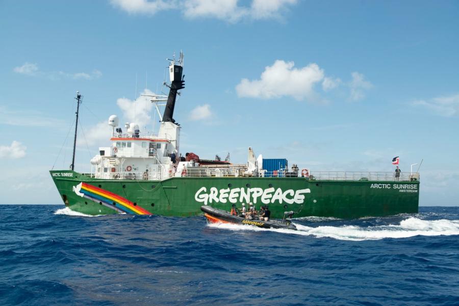 Martin Katz, Greenpeace