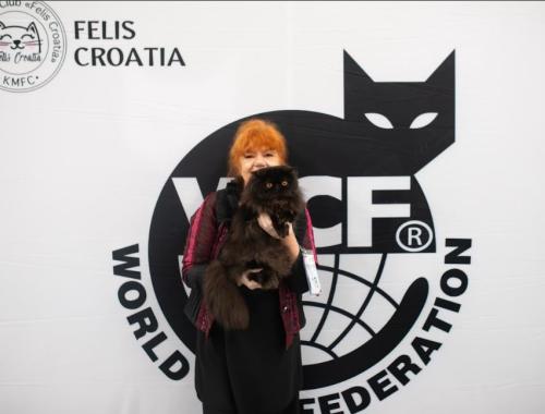 Felis Croatia, Gordana Radić, dizajnerica