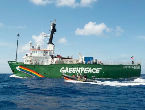 Martin Katz, Greenpeace
