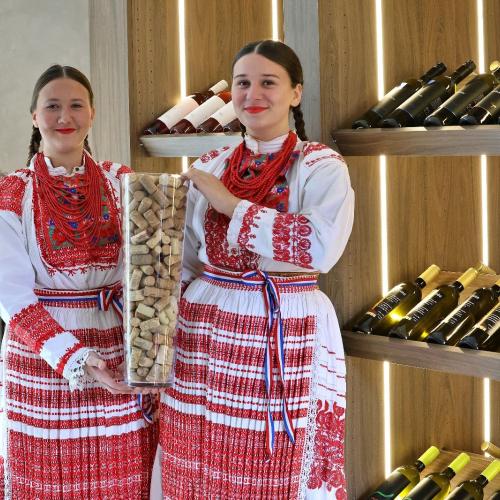 Novi vinski prostor u Općini Pušća