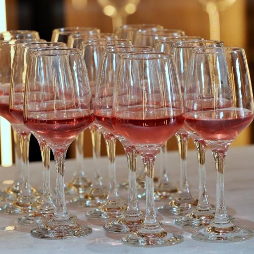 Novi vinski prostor u Općini Pušća